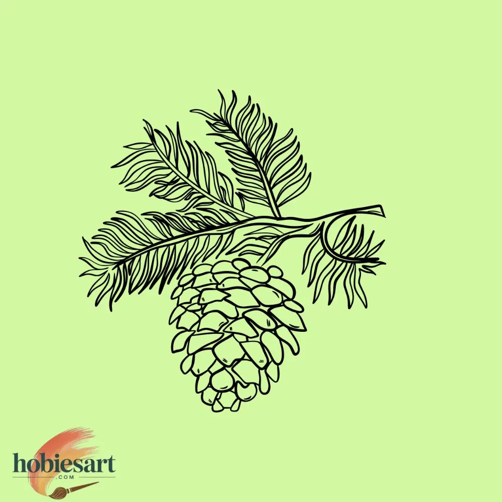 A Pine Cone