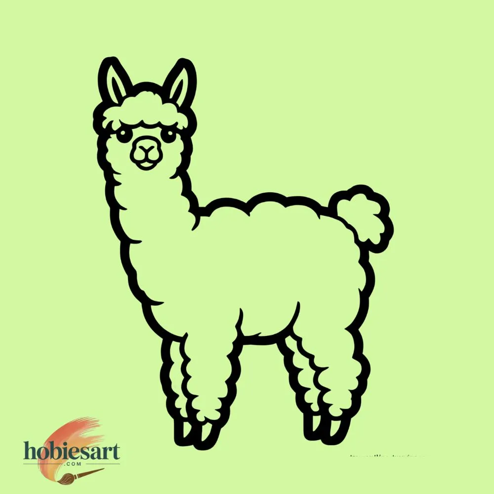 Alpaca