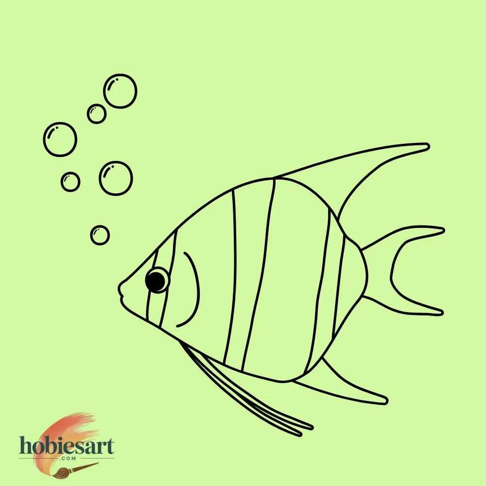 Angelfish