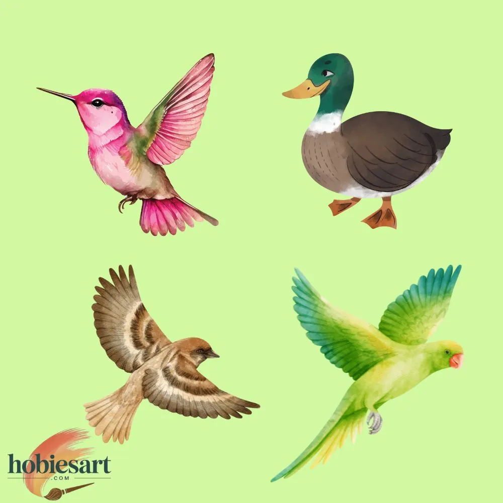 Birds