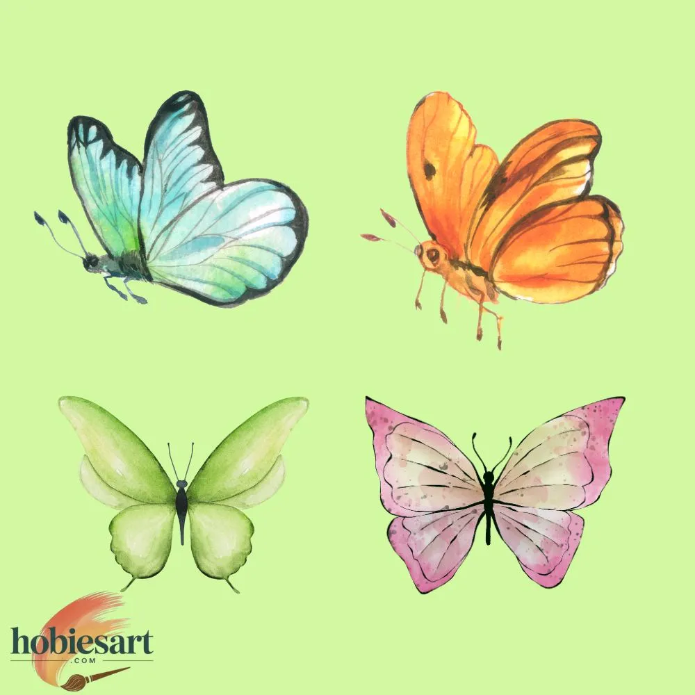 Butterflies