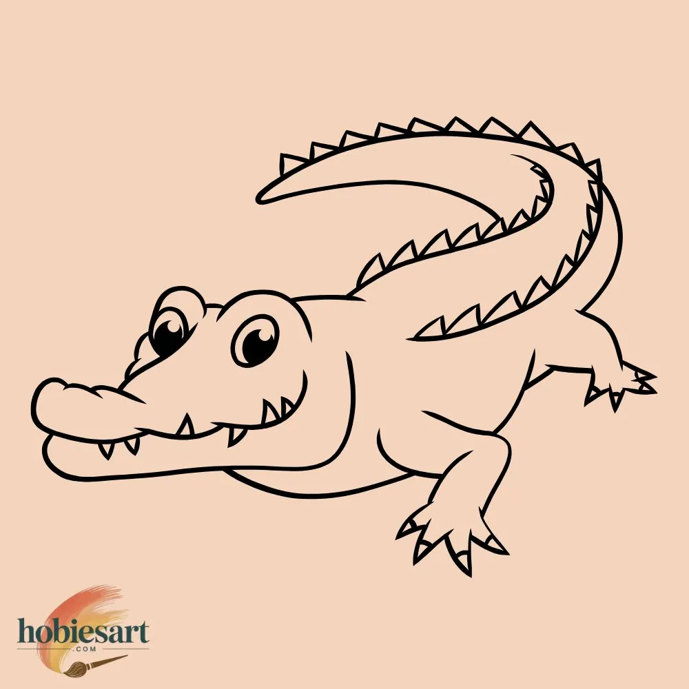 Crocodile