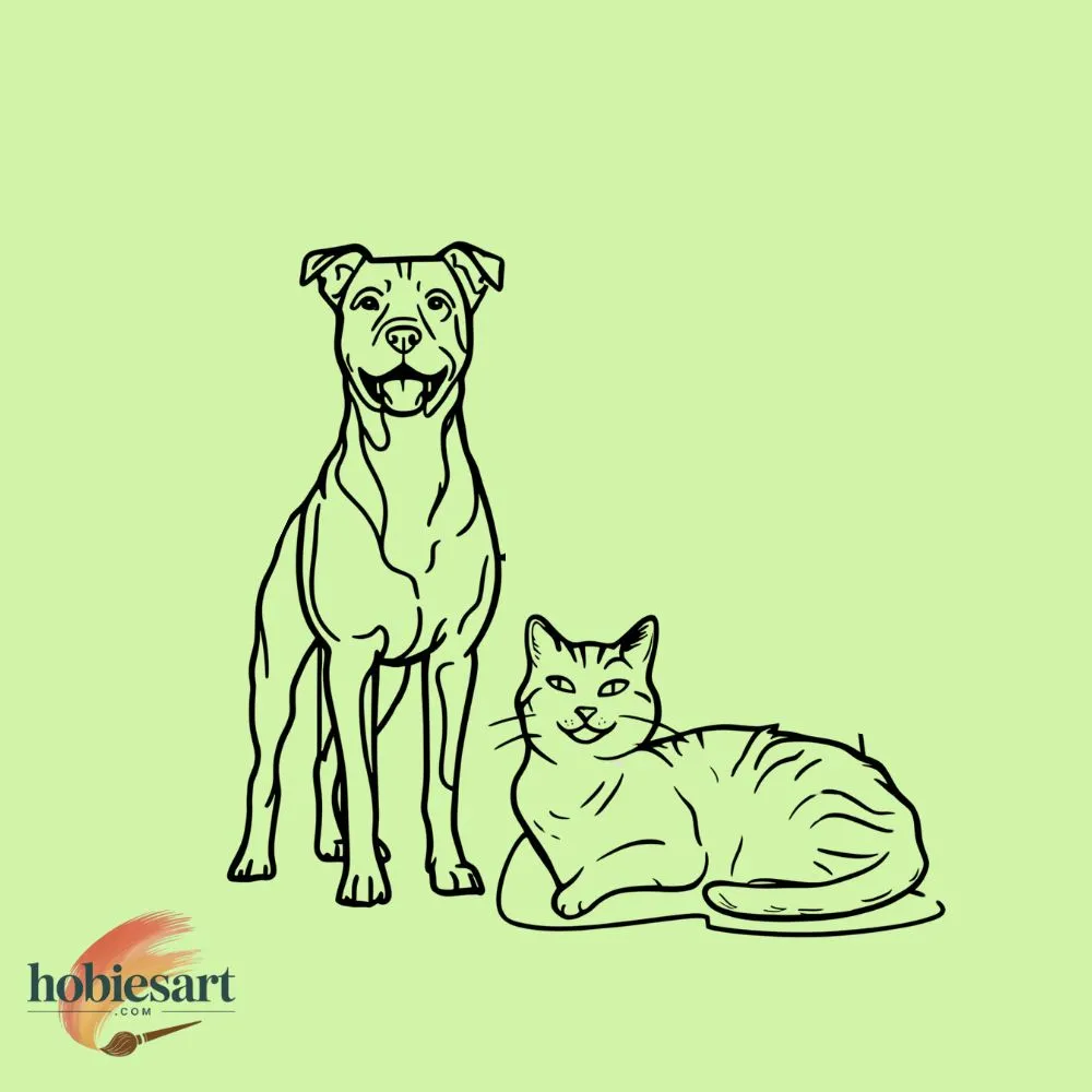 Dog and Cat