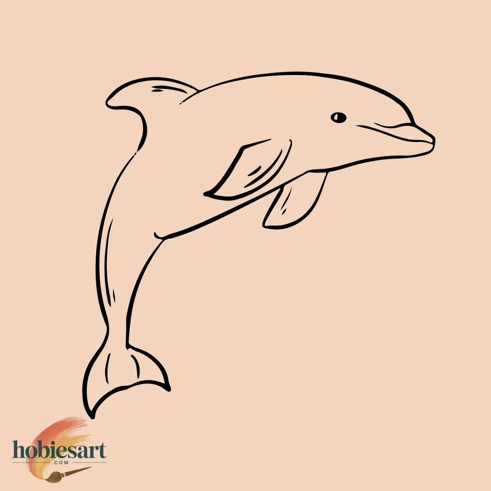 Dolphin