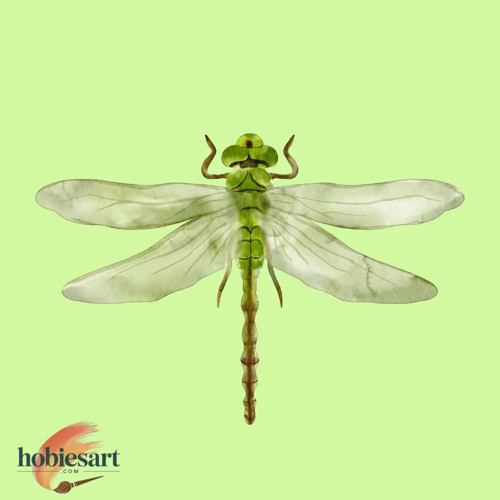 Dragonfly
