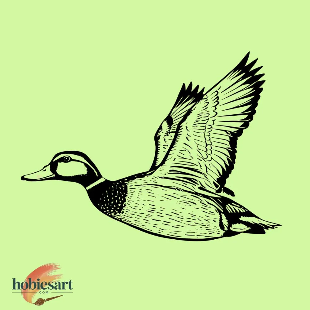 Duck flying