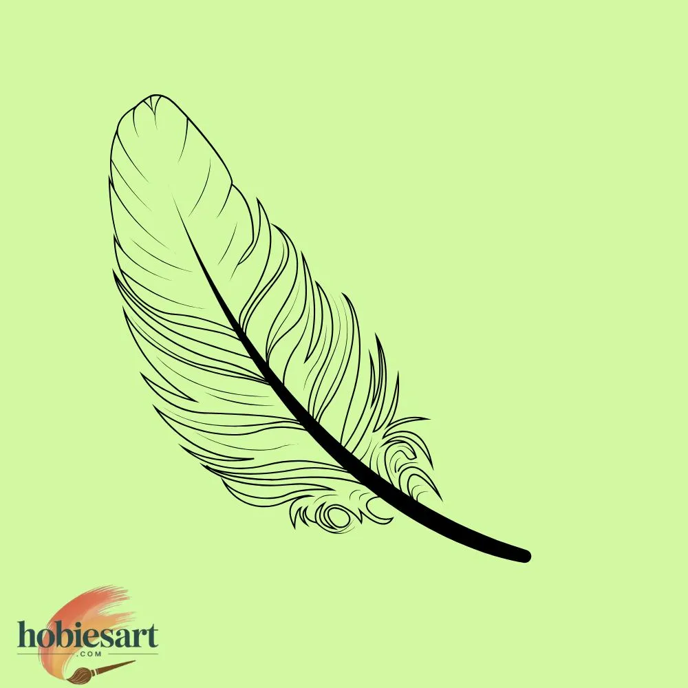 Feather