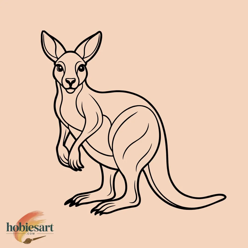 Kangaroo