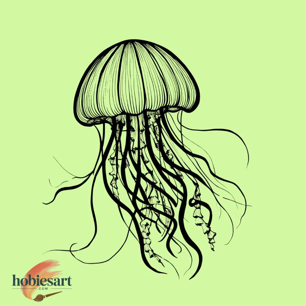 Magical Jellyfish