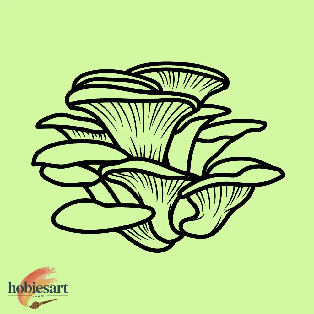 Oyster Mushroom