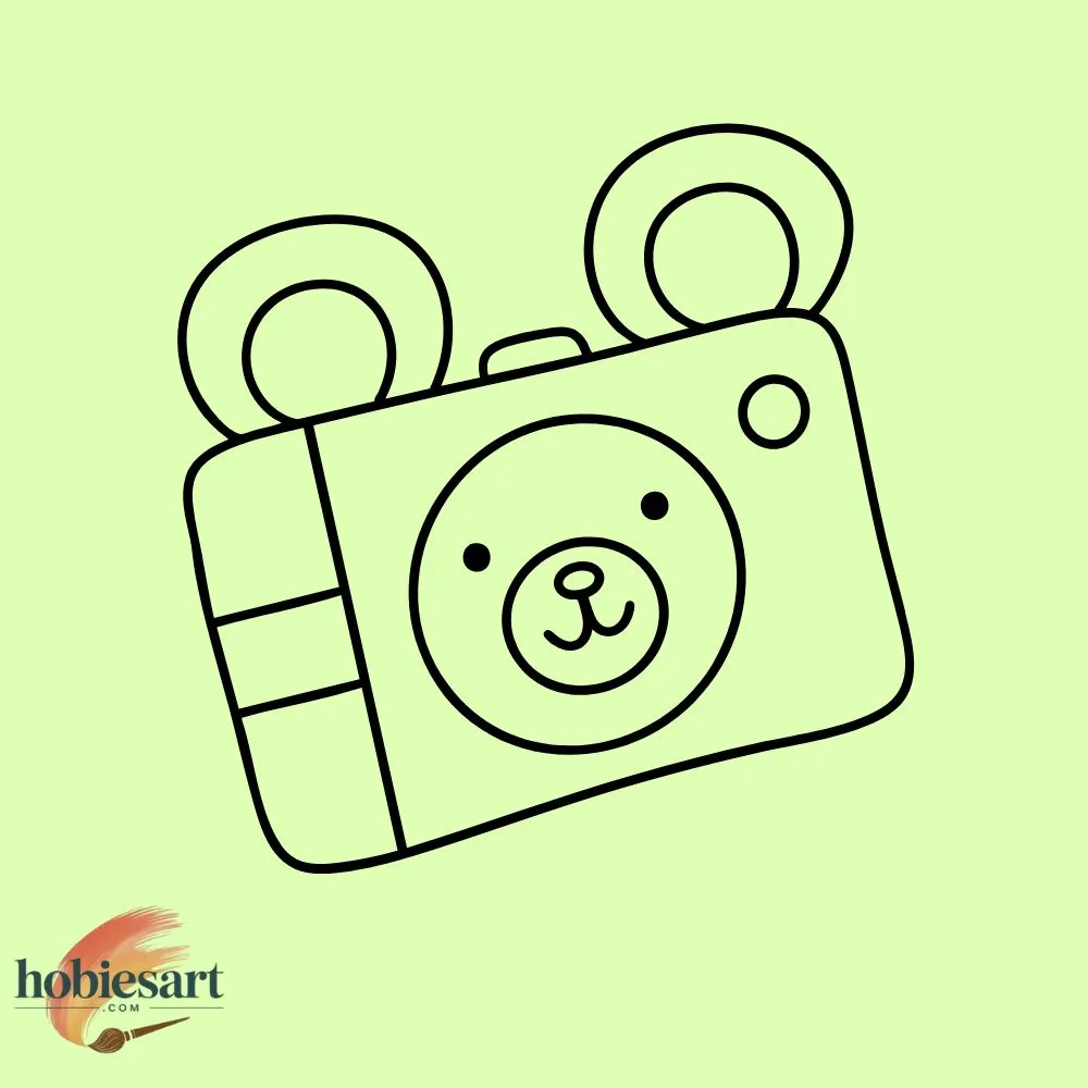 Photography Bear
