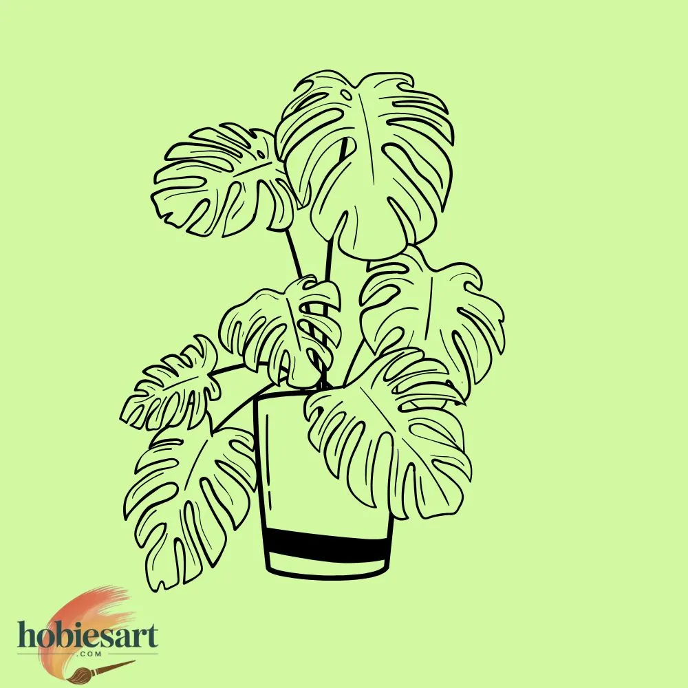 Potted Plant