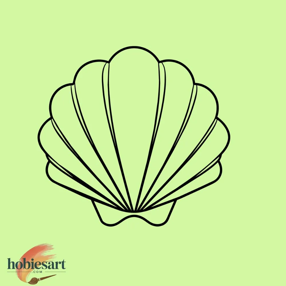 Seashell
