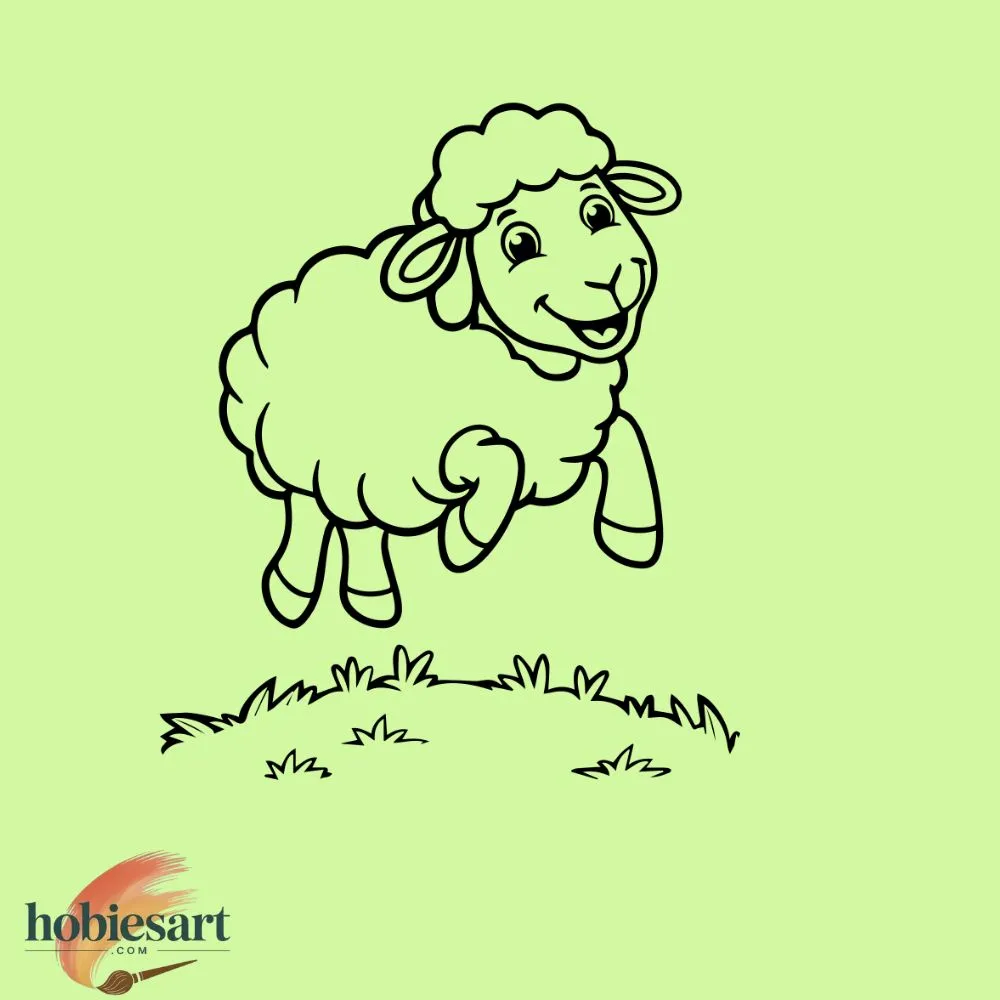 Sheep