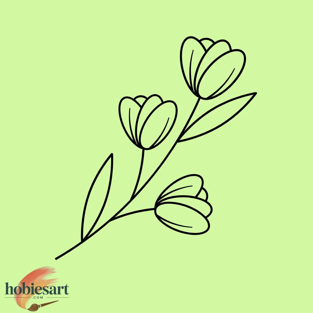 Simple Tulip Drawing