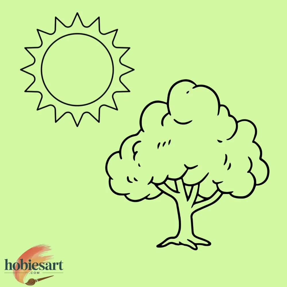 Tree and Sun