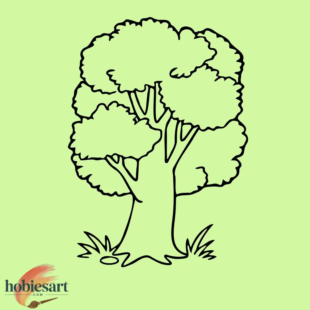 Tree with Big Leaves