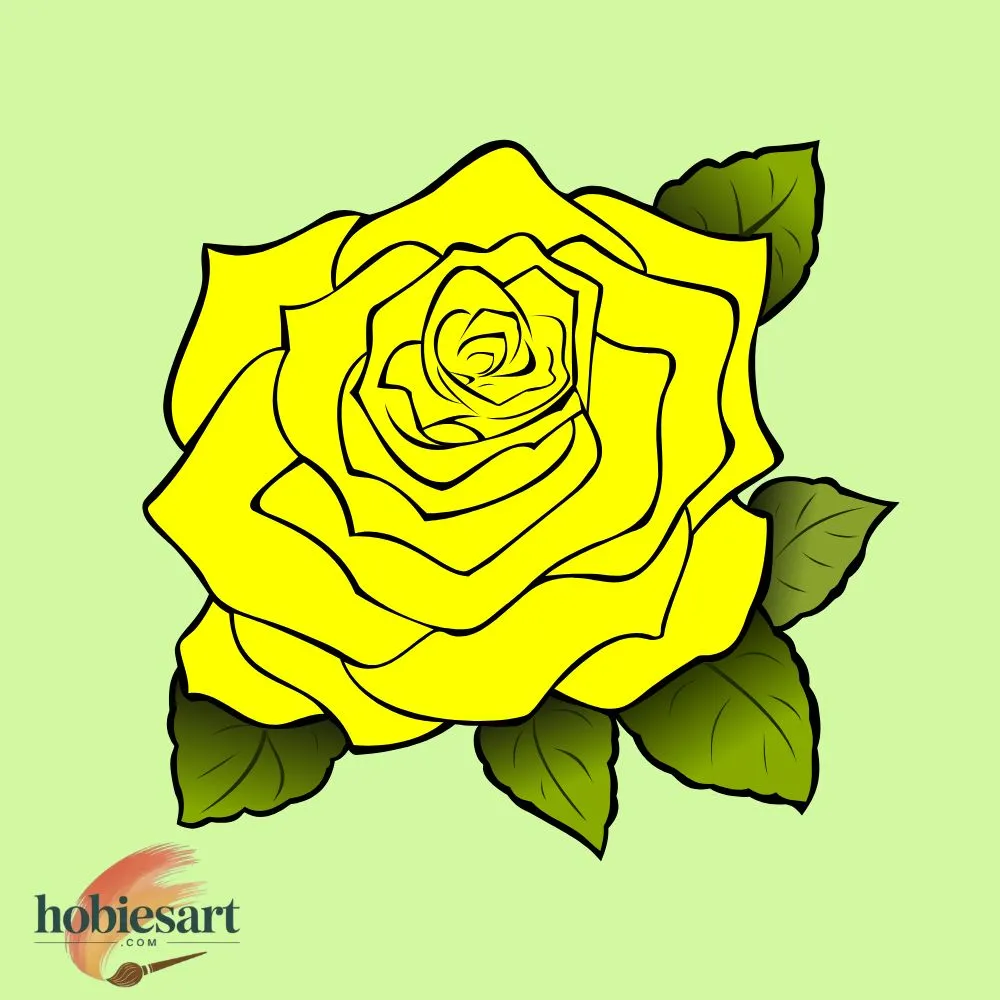 Yellow Rose