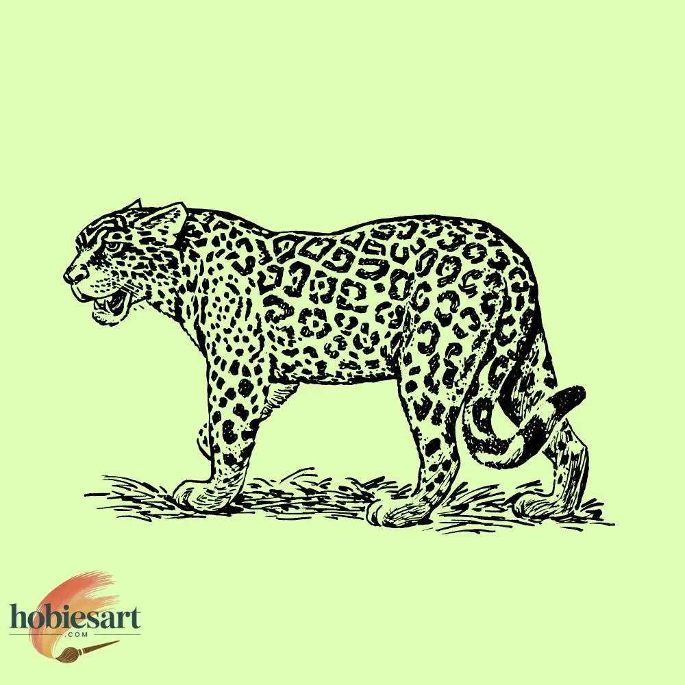 Angry Leopard
