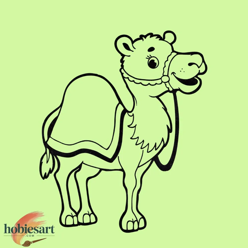 Cute Dromedary Camel Calf