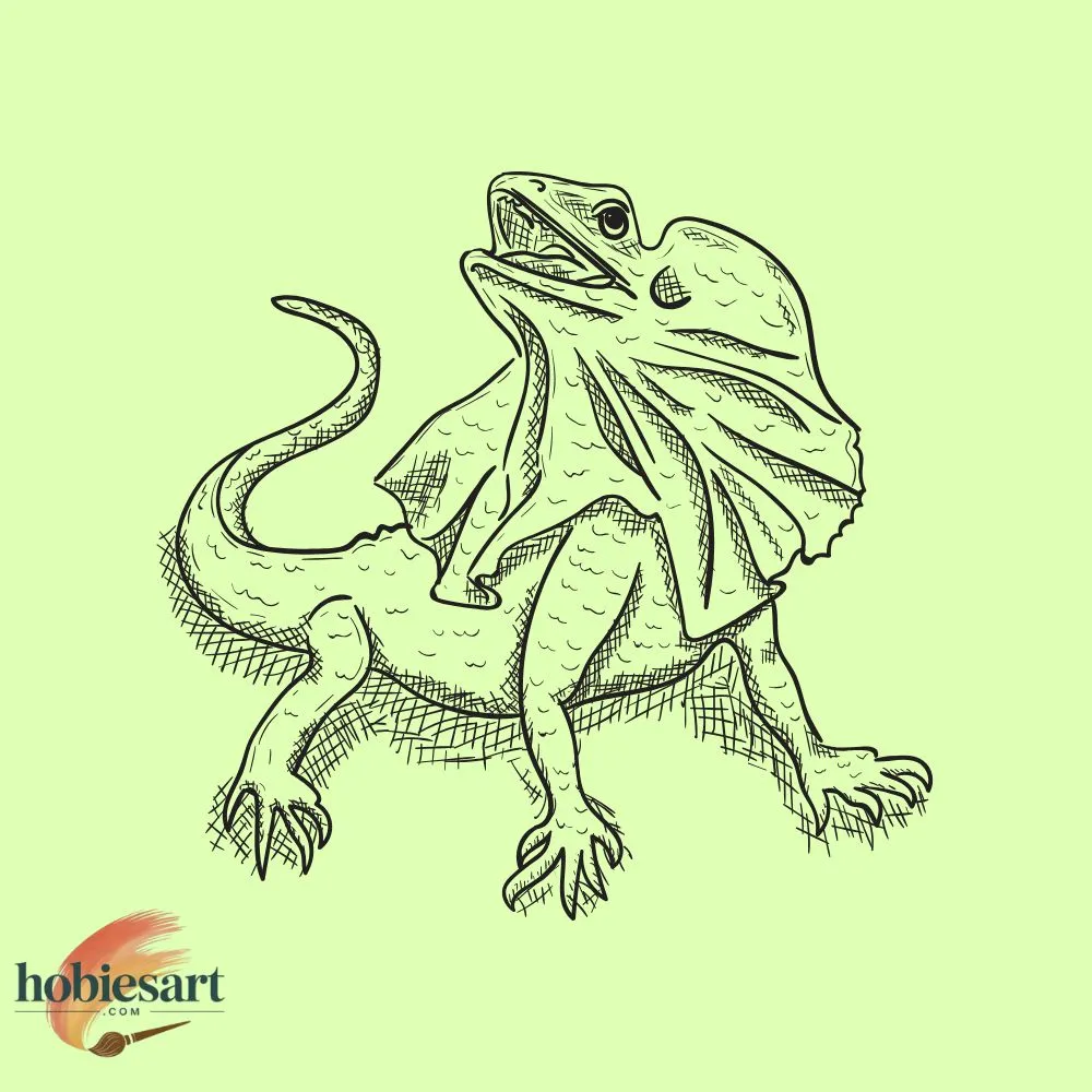 Frilled Lizard Running