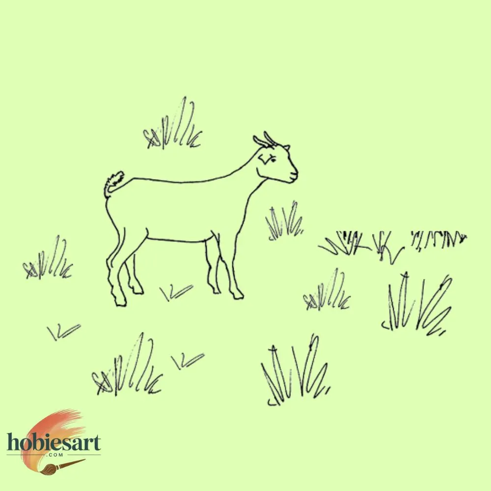 Goat in a Field