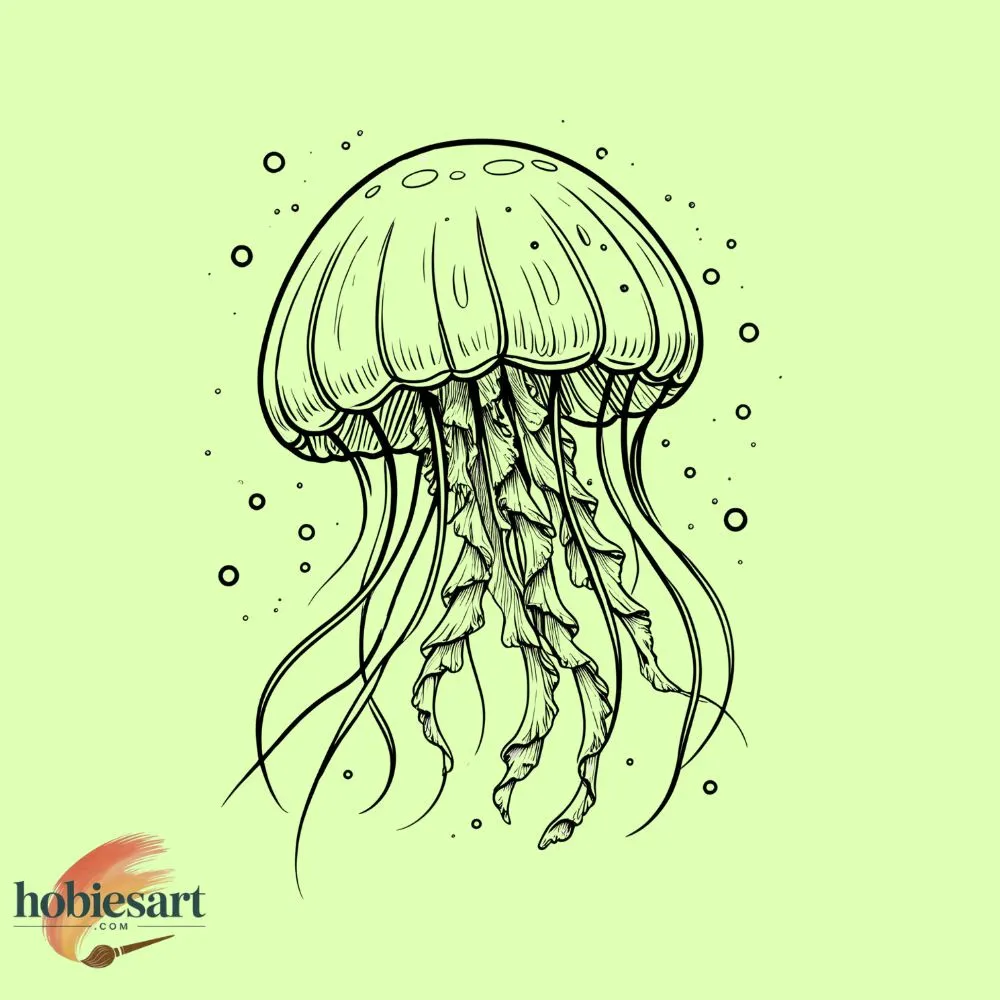 jellyfish floating gently