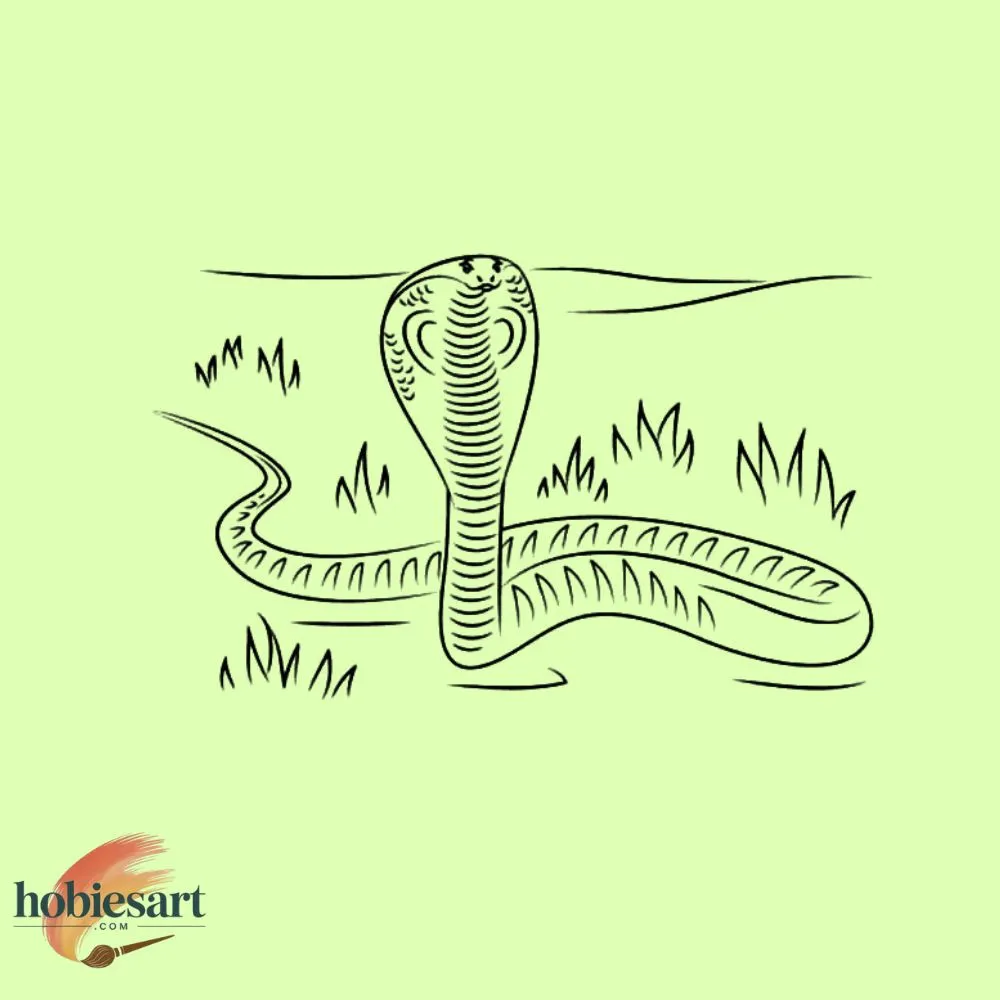 King Cobra Slithering