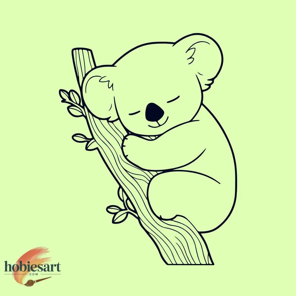koala resting