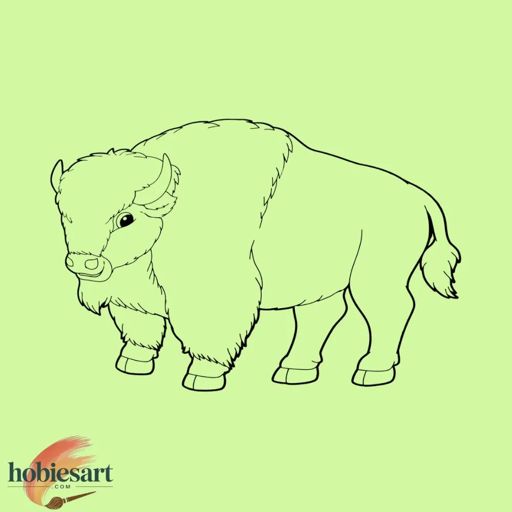 Plains Bison 