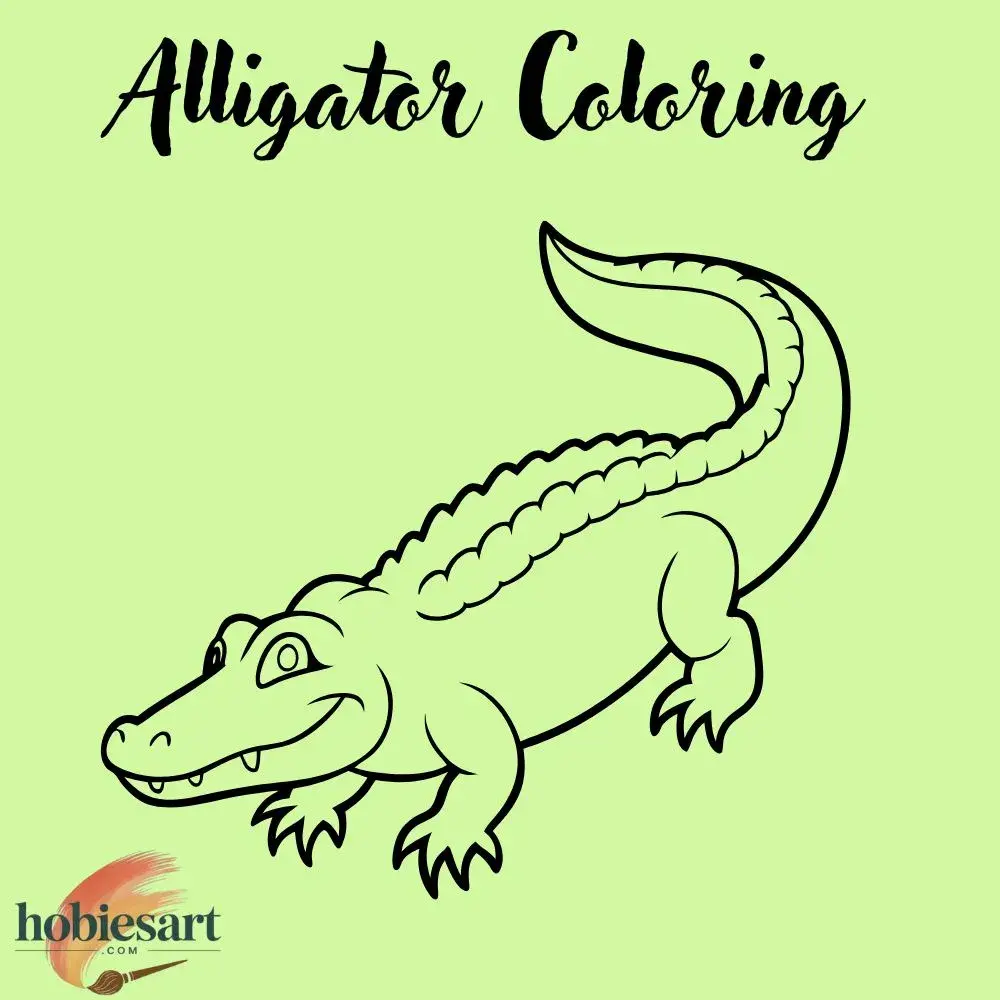 Alligator Coloring