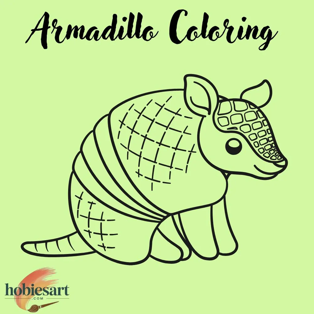 Armadillo Coloring