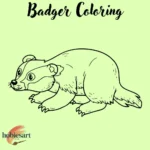 Badger Coloring