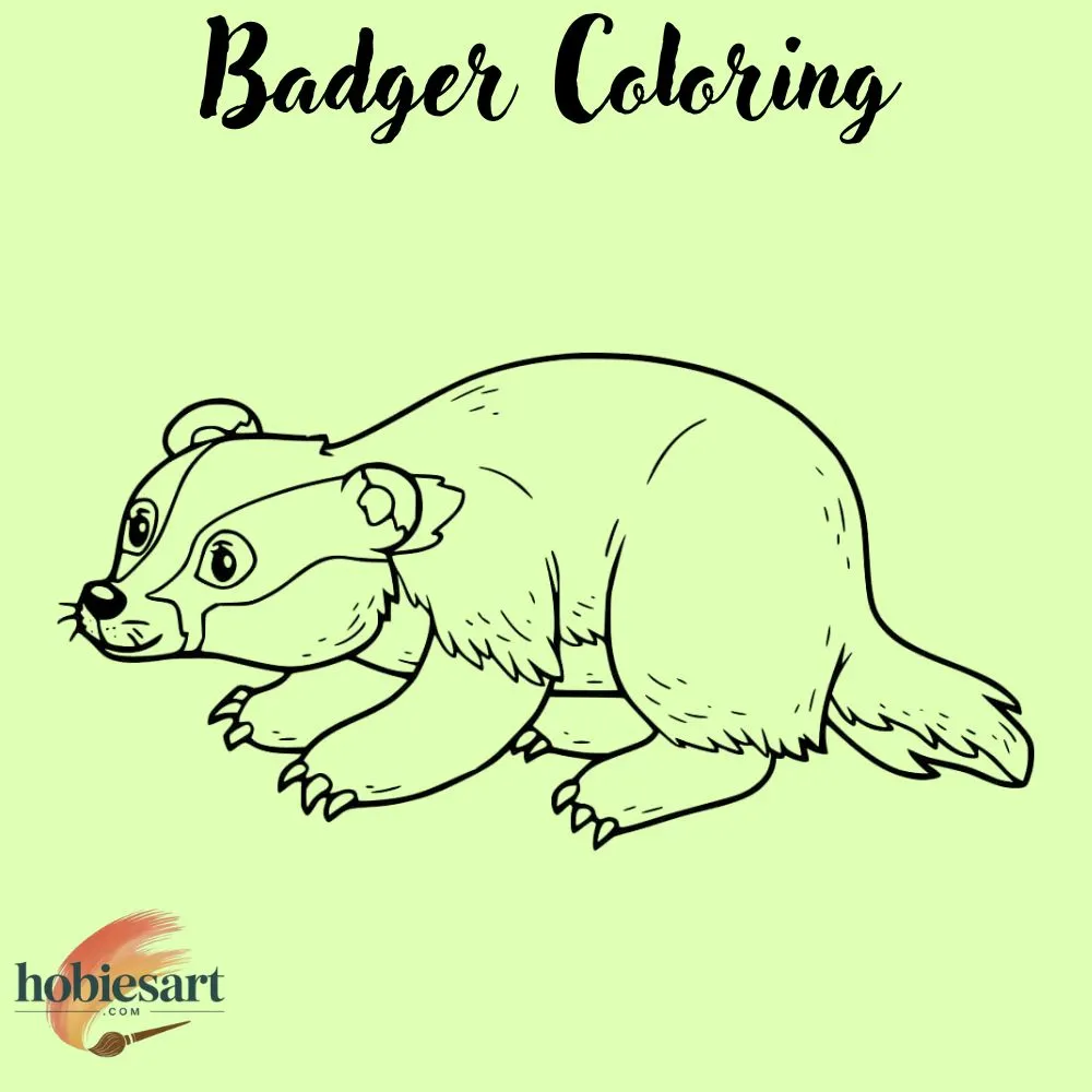 Badger Coloring