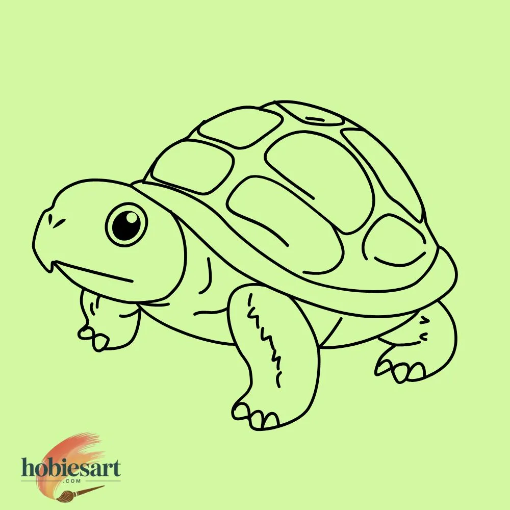 Basic Turtle Drawing