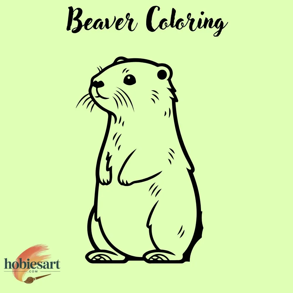 Beaver Coloring