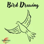 Bird Drawing