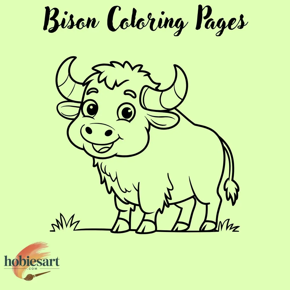 Bison Coloring Pages