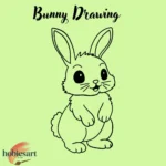 Bunny Drawing