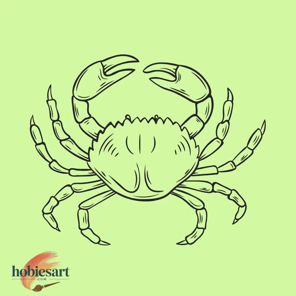Crab