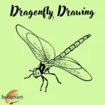 Dragonfly Drawing