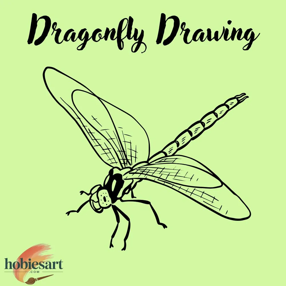 Dragonfly Drawing
