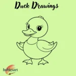 Duck Drawings