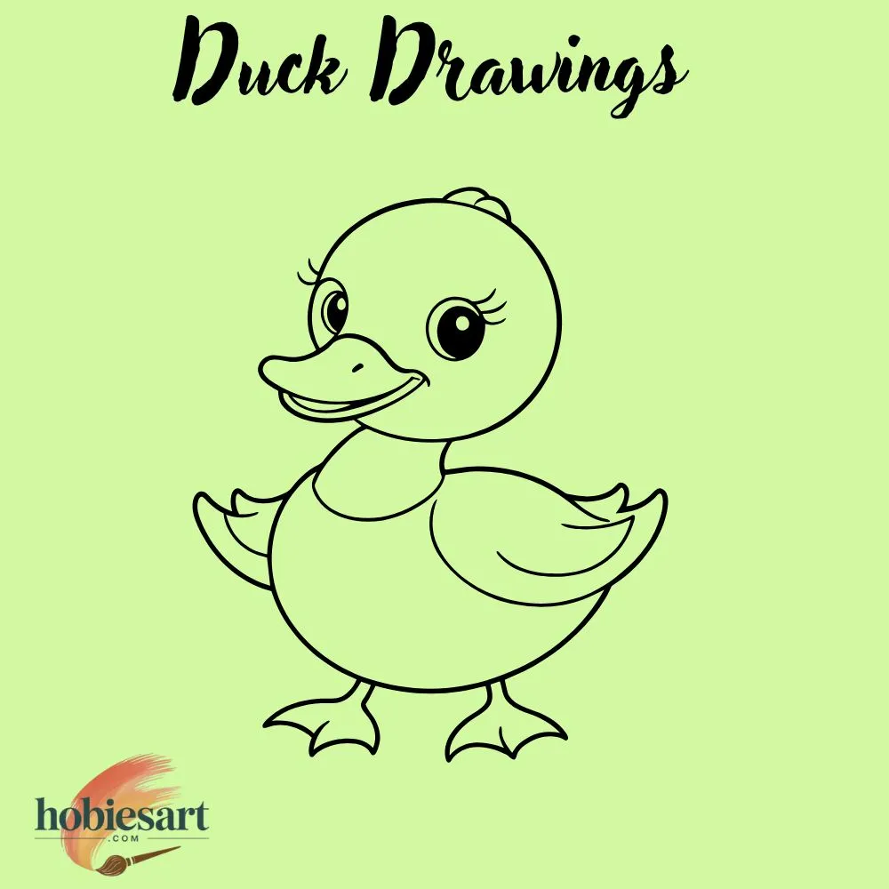 Duck Drawings
