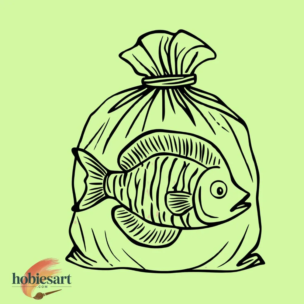 Fish in Bag