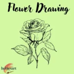 Flower Drawing