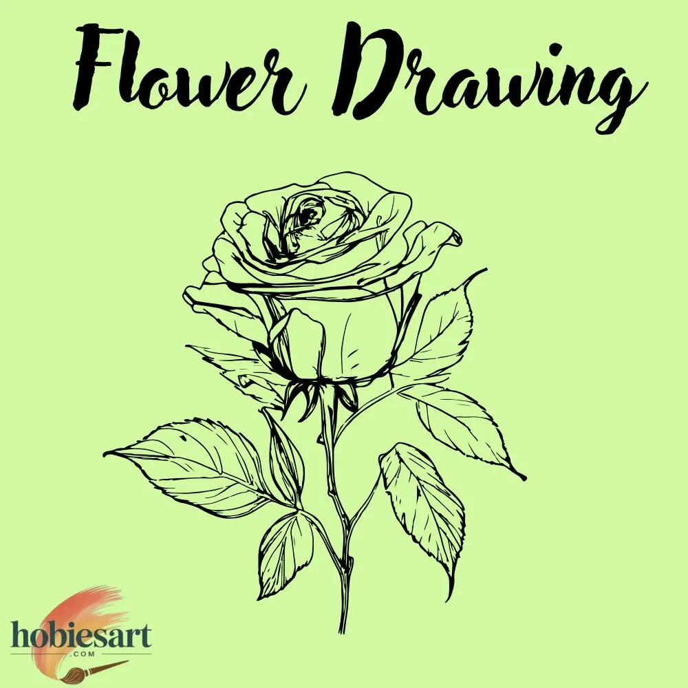 Flower Drawing