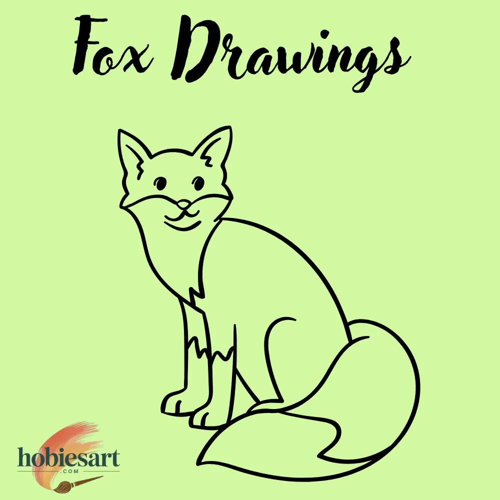 Fox Drawings