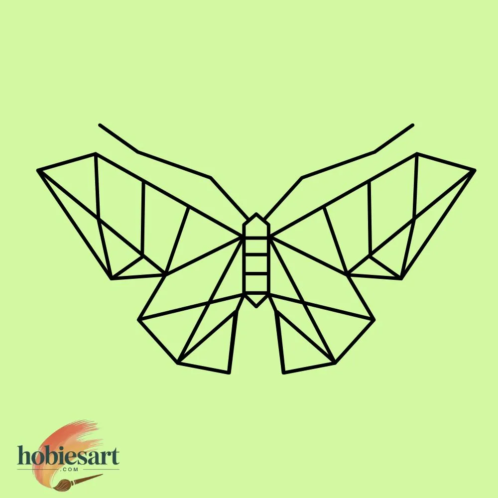 Geometric Butterfly
