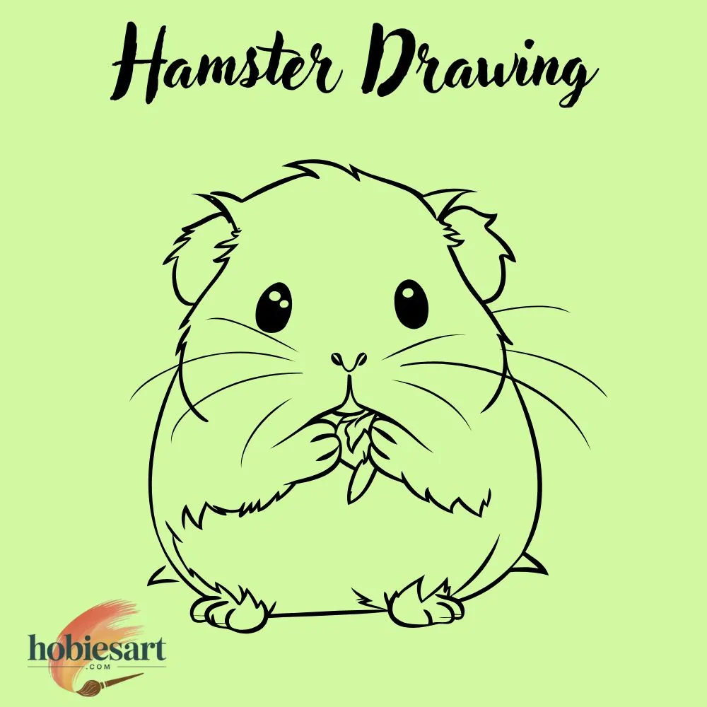 Hamster Drawing
